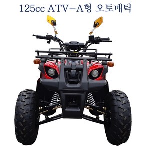 125cc A형 ATV 농업용/효도상품/사륜오토바이/사발이