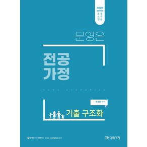 문영은 전공가정 기출 구조화, 미래가치