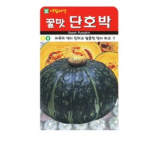 SN월드 씨앗 열매채소 과일채소 모음