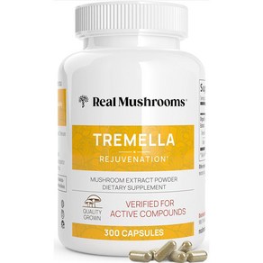 흰목이버섯 효소분해 추출물 리얼머쉬룸 트리멜라 Temella 1000mg 300캡슐, 300정, 1개