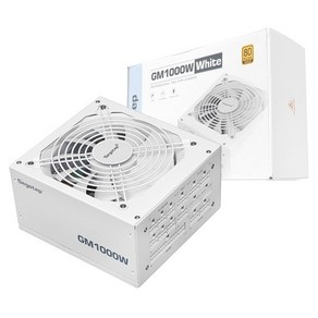 Segotep GM1000W 80PLUS GOLD 풀모듈러 ATX 3.1 (PCIE5.1) 화이트, 1개, 선택하세요