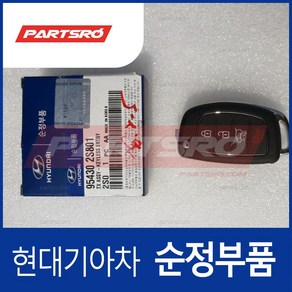 순정 투싼IX/투싼 폴딩키 리모컨 (954302S801), 1개