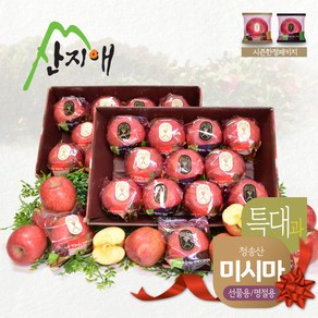 산지애 씻어나온 꿀사과 4kg 2box (특대과) 경북산 미시마 당도선별, 2박스