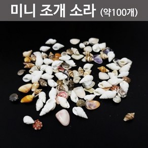 미니 조개 소라세트(약100개)-만들기키트