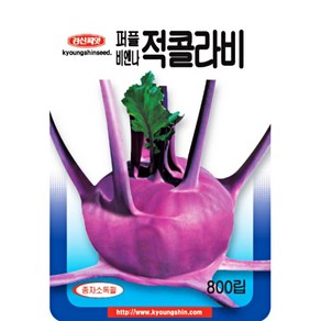 콜라비씨앗 레드 그린 퍼플 콜라비씨 종자, 적콜라비, 1개