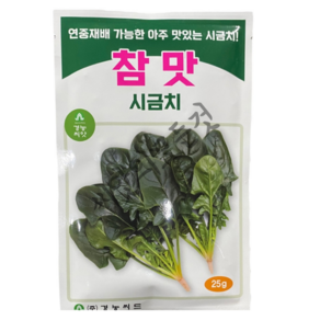 참맛 시금치 씨앗 25g 연중재배 가능 결각이있는 전문가용 맛있는 단묶음시금치 하우스노지, 1개