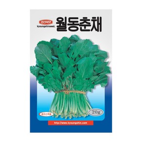 경신종묘 순무유채씨앗 월동춘채 20g, 1개