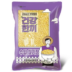 중국산 찰기장, 1개, 1kg