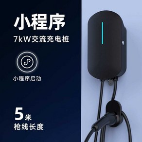 초고속 전기차 충전기 클래식 집밥 급속 포터 완속충전기, 1개, 7kw/5m/4G 벽걸이