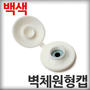 벽체원형캡 백색 직결나사캡 판넬벽체캡 육각머리나사캡 판넬용원형캡 샌드위치판넬 조립식판넬 패널, 100개