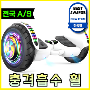 루나틱 [안전한] 호버보드 전동휠 고카트 레이싱카트 전동외발휠 카트레이싱 투휠, 10인치 휠 화이트, 1개