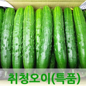 자체브랜드 싱싱한 오이 취청오이, 오이3kg(특품), 1개