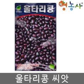 울타리콩씨앗 30g 콩씨 콩씨앗 넝쿨콩 텃밭 원예 영농사, 울타리콩, 1개