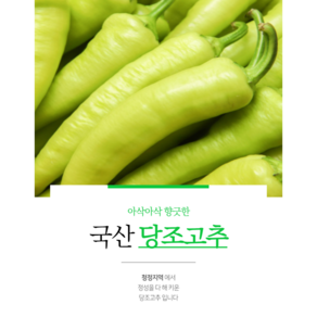 산지직송 당일배송 경상남도 밀양시에서 자란 당일수확 당조고추 당고추 최상품 당조고추 모악산당조고추 당고추 당조고추 고추 풋고추 가지고추야채 미인고추당뇨고추, 3kg, 1개