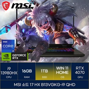 MSI 2024 스워드 17 HX 코어i9 인텔 13세대 지포스 RTX 4070, 코스모스그레이+블랙, 1TB, 16GB, WIN11 Home, B13VGKG-i9 QHD