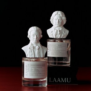 라아무 프리미엄 클래식 실내 디퓨저 방향제 선물세트, 1세트, 150ml, 모차르트/카야