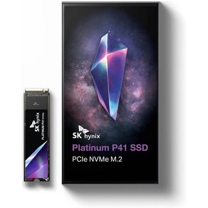 SK하이닉스 Platinum P41 M.2 NVMe 1TB, SK 하이닉스, 500GBMB