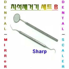 Mavi 치석제거기치경 세트B(Dental Mio+Scale Shap), 1개