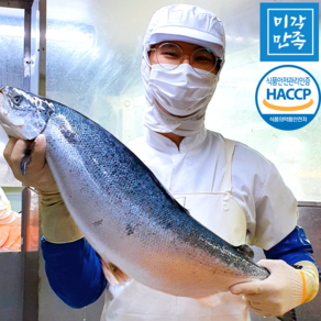 [미각만족] HACCP 얼리지않은 노르웨이 생연어 연어회 필렛 2kg 1kg 500g 300g, 생연어 필렛 반마리(라운드), 1개