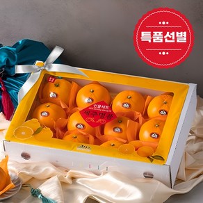 루미스바이오 제주 레드향 선물세트 과일, 1박스, 5kg