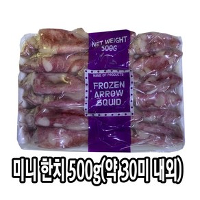 다인 냉동 미니 한치 500g (약 30미) 한치숙회 물회 손질 베이비 통한치