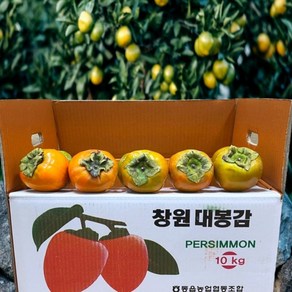 첫 출하 농랑부랑 경남 진주 대봉감 5kg 10kg 특대과 안전포장 X... 1박스, 대봉감 5kg X 19~24개 1박스 × 1박스