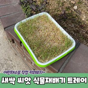 새싹 씨앗 식물재배기 트레이