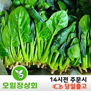 ( 오일장 상회 ) 국내산 시금치 1KG 2KG 3KG 4KG, 1박스