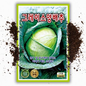 양배추씨앗 (200립 )조생종 결구력 강함, 1개