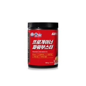 프로게이너 파워부스터 500g_자몽 에너지보충제 자전거 라이딩 마라톤 등산 철인3종 웨이트트레이닝, 300g, 1개