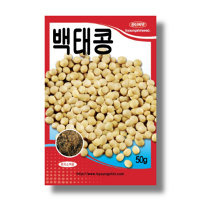 콩 씨앗 종자 재래종 백태 올콩 씨앗 30g 맛이 좋고 건강에 좋은, 1개