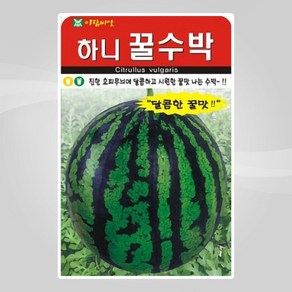 슬로시 열매 씨앗 종자 고추 가지 토마토 완두콩 녹두, 1개