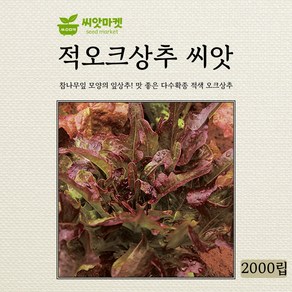 다농 적오크상추 씨앗 2000립, 1개