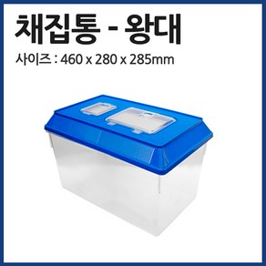 통통밀웜 대일 채집통 왕대, 1개