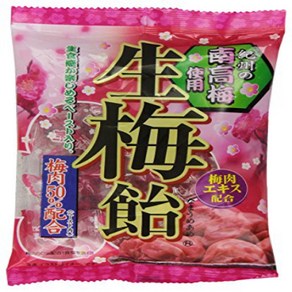 Ribon Nama Ume Plum Had Candy 3.87 Ounce Ribon Nama Ume 매실 하드 캔디 3.87 온스, 1개, 109g