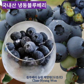 국내산 냉동블루베리 무농약 냉동과일 산지직송, 1개, 1kg