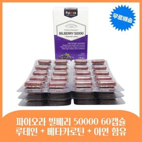 뉴질랜드 파이오라 눈영양제 빌베리 50000mg 루테인 20m 300캡슐, 300정, 1개