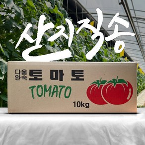 [정품]유기농 완숙 토마토 10kg, 1개