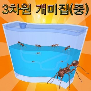 (HM)3차원 개미집(중), 단일 수량, 단일 수량