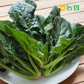 농협선별 신선한 시금치 500g 1kg