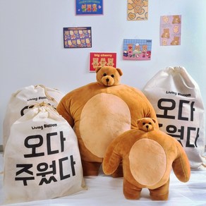 소두곰 인형 곰동석 어깨깡패 웃긴 인싸템 선물, 소두곰-27cm, 1개