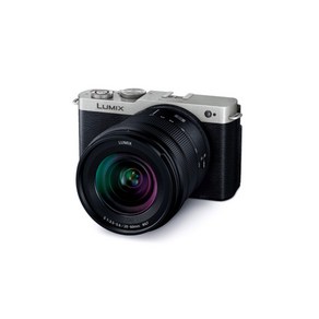 파나소닉 루믹스 S9 카메라 LUMIX S9 DC-S9K-S, 단일 옵션