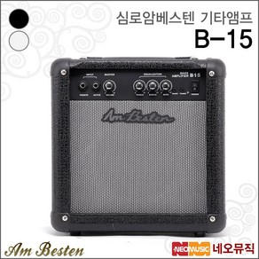 심로 암베스텐 기타앰프 B-15 / B15 베이스용 +옵션