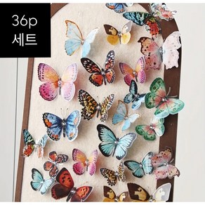 36개 입체 3D 나비 스티커 아름다운 날개 무늬를 가진 버터플라이 스티커 세트 인테리어 오브제 꾸미기용 어린이집 유치원 봄 환경구성 화사한 봄스타일 나비스티커 대용량