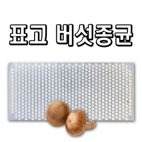 친환경마켓 표고버섯(캡슐606구) - 참나무 원목 접종용 버섯 모종 느타리 성형 종균 표고버섯, 1개, 100g(내외)