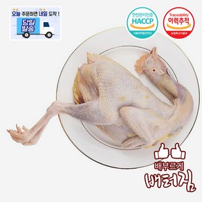 (배터짐) 영양만점 토종 꿩고기 까투리, 700g 내외, 1개