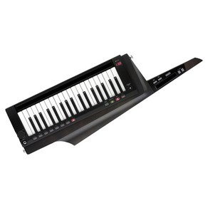 KORG 코르그 - KEYTAR 숄더 키보드 RK-100S 2 블랙 RK-100S2-BK