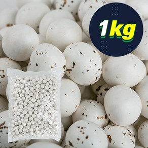 드래곤새알 1kg, 1개