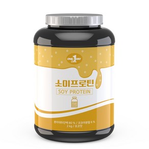 원데이뉴트리션 소이프로틴 단백질 쉐이크 초코맛, 2kg, 1개