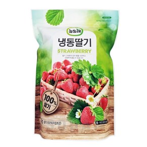 뉴뜨레 냉동딸기 4kg(1kgx4) 이집트산 무가당홀